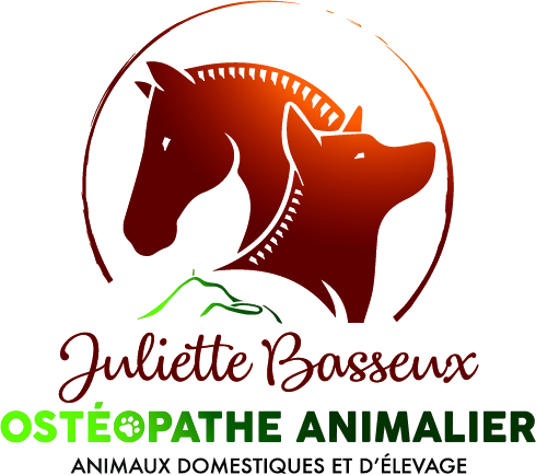 Logo Juliette Basseux - Ostéopathe animalier Puy de Dôme