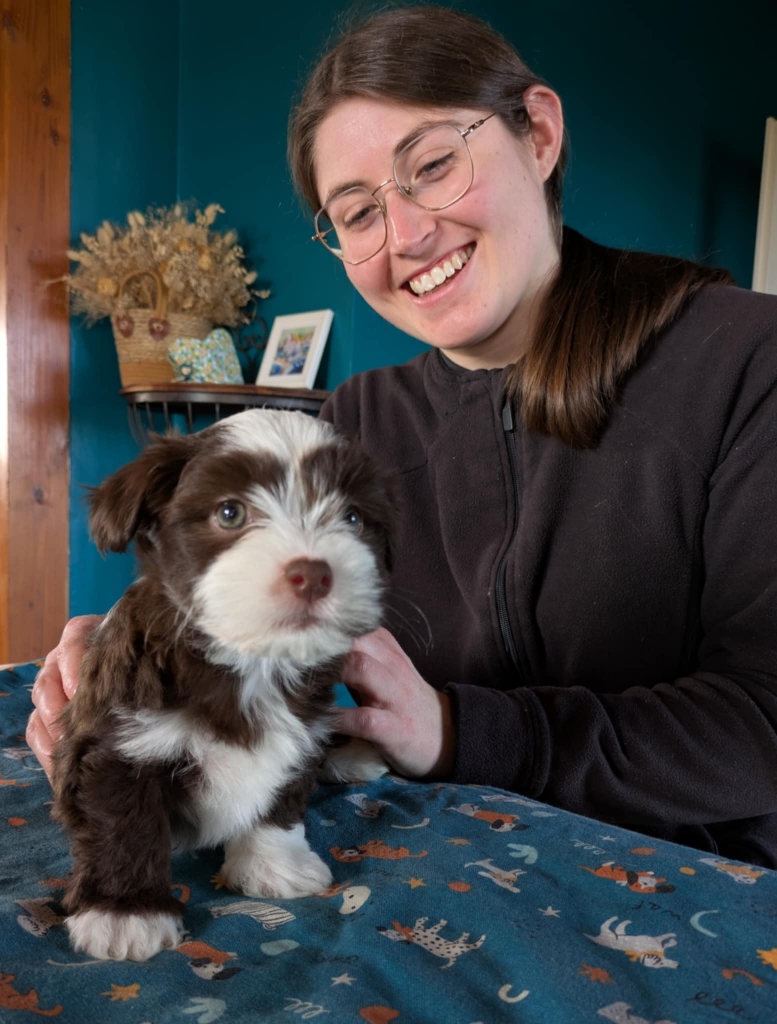 Juliette Basseux - Ostéopathe diplômée pour chiens et chats en consultation