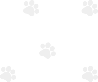 Pâtes de chien